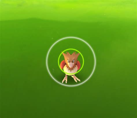 green circle pokemon|What Do The Different Colored Circles Around The Pokemon .